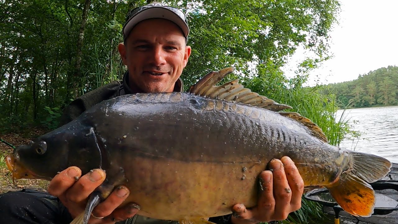 KARPIOWY POGROM NA PZW !!! Na groch z kapustą !!!