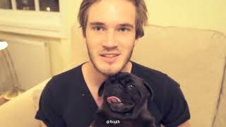 PewDiePie ❤️🌟 Journey | Turn on the camera