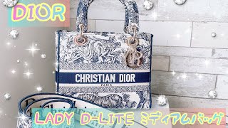 DIOR購入品紹介🎀 LADY D-LITE ミディアムバッグ👜✨トワル ドゥ ジュイ エンブロイダリー