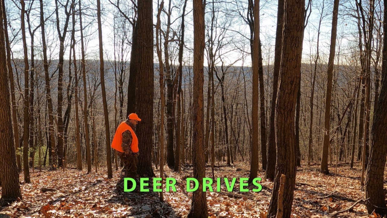 DEER DRIVES the good the bad and the ugly #deerhunting # ...