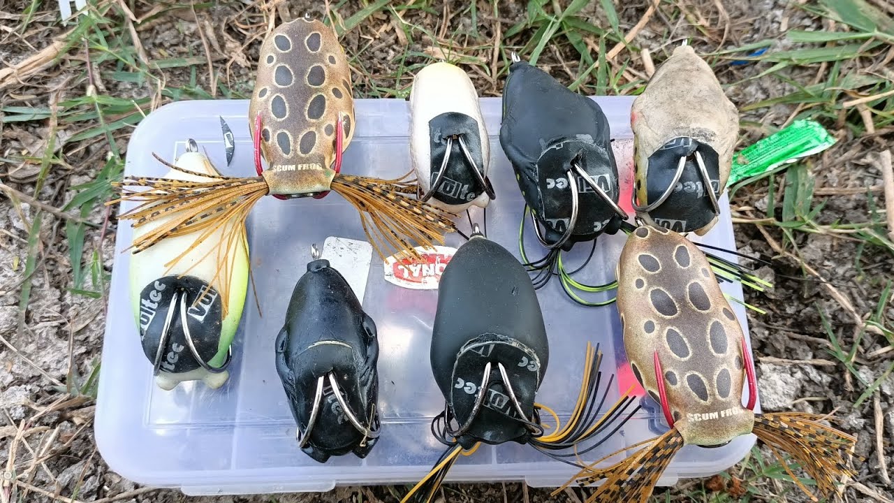 Frog 🐸 Ko Banao Powerful