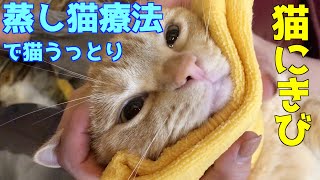 猫のアゴの下の黒ずみ(猫にきび)は綺麗に除去できます猫はエステ気分でうっとり顎ニキビ黒にきび