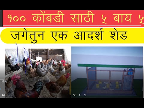 १०० कोंबडी साठी पालनासाठी५ by ५ चे आदर्श शेड