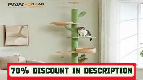 A must-have product! Adjustable Height Cactus Cat Tree for Indoor Cats Floor to Ceiling Cat Tower