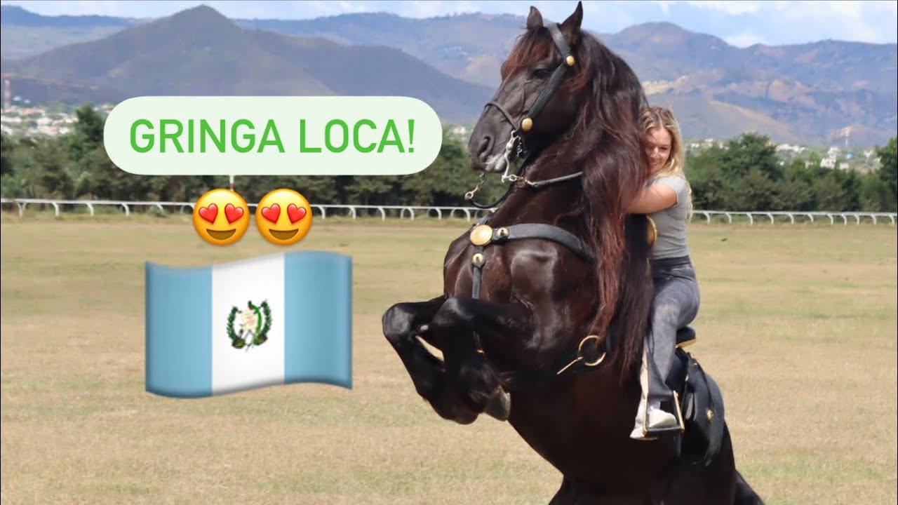 MONTANDO CABALLOS MAJESTUOSOS EN GUATEMALA!😍🇬🇹