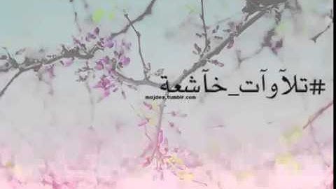 ما أجمل هذا الصوت.. تلاوة خاشعة للقارئ: فايح الحارثي.