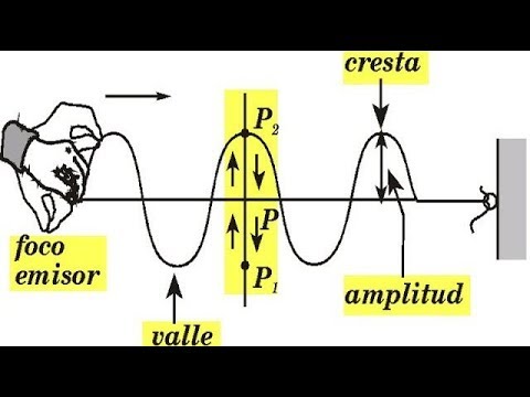 Ondas Mecánicas Transversales y Longitudinales El Sonido Física - thptnganamst.edu.vn