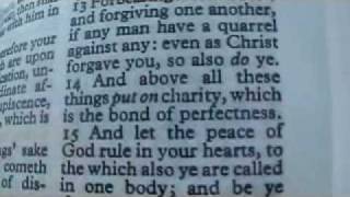 Colossians 3 Holy Bible King James
