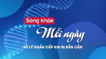 Sống khỏe mỗi ngày - Xử lý khẩn cấp khi bị rắn cắn