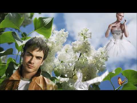 Восхитительны грозди сирени 