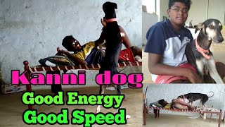 Kanni Dog- Good Energy Good Speed...