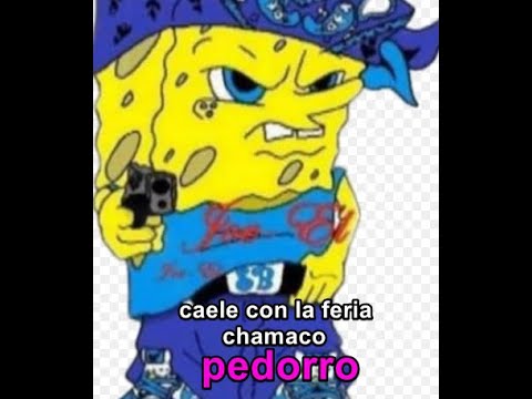 Razones por las que deberia de ser addmim