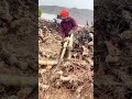 Firewood process #woodworking