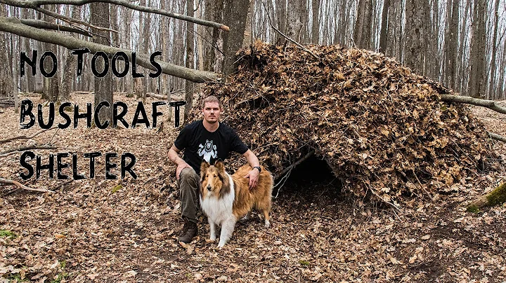 Building a Bushcraft Shelter WITHOUT TOOLS and Sle...