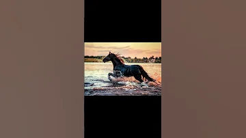 اجمل ما قال المتنبي الخيل والليل والبيداء تعرفني والسف والرمح والقرطاس والقلم الشعر العربي 
