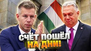 МОЛНИЯ! Орбан в истерике: Мадьяр готовит трибунал для «диктатора» Будапешта? НЕ ПРОПУСТИТЕ!