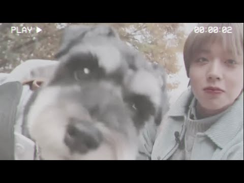 🎥 ”Ditto” - 박지훈 🐕