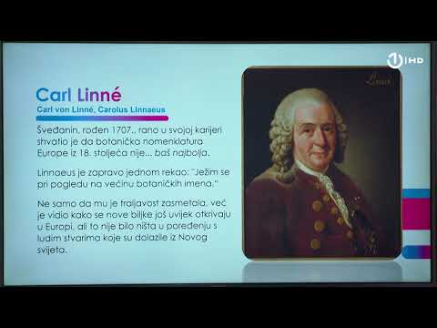 Video: Na čemu se temelji Linnaeov sustav klasifikacije?