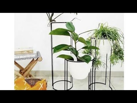  Standing  planter rak pot  tanaman minimalis  YouTube