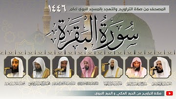 سورة البقرة كاملة من صلاة التراويح بـ المسجد النبوي | المصحف المرتل رمضان 1446 هـ