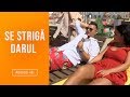 Se striga darul(19.10.2019) - Bursucu, batut de Andreea Mantea! Il ajuta pe Mitoseru? Sezon 5, Ep 17