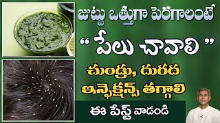 Homemade Hair Pack | Lice Removal | Control Dandruff | Scalp Itching | Dr. Manthena's Beauty Tips