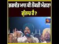 “Bhagwant Mann, Is Asking for a Job a Crime?” Asks Raja Warring