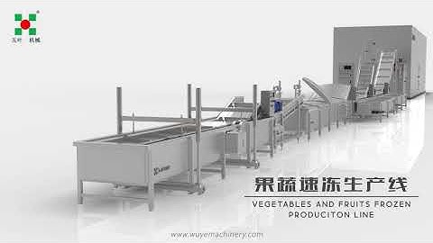 Freezing vegetables and fruits production line machines Frozen food IQF processing line equipment