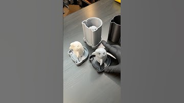 Custom 3-D printed silicone mold box for my dead dolphin, nigiri sushi toy