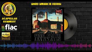 Pink Floyd - Sheep High Quality Audio (HQ - FLAC)