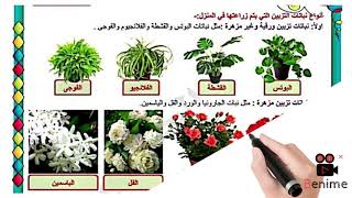 الدرس الرابع في المهارات المهنية للصف الرابع الابتدائي(الزراعة في المنزل) #المنهج هنساعدك تلم المنهج