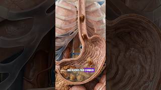 What Happens Inside Your Body When You Eat Dates? #humanbody #anatomy #shorts