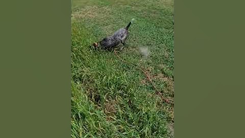 Molly  -  Improvement Establishing Point  09 20 20