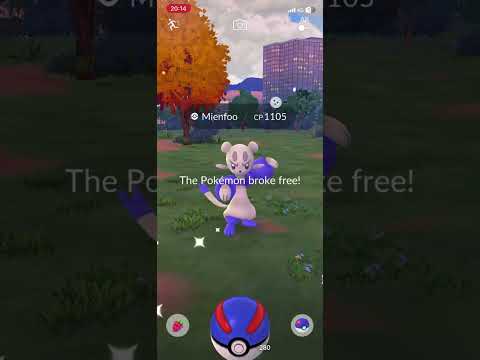 ✨Shiny Mienfoo - Pokémon GO ✨#pokemongo #shinypokemon #ポケモンGO #pokemon #shinyhunting