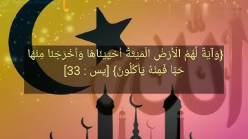 قرآن كريم تلاوة طيبة للقارئ أحمد الحمادي من سورة يس