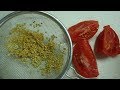 Заготовка семян томатов - как это делаю я