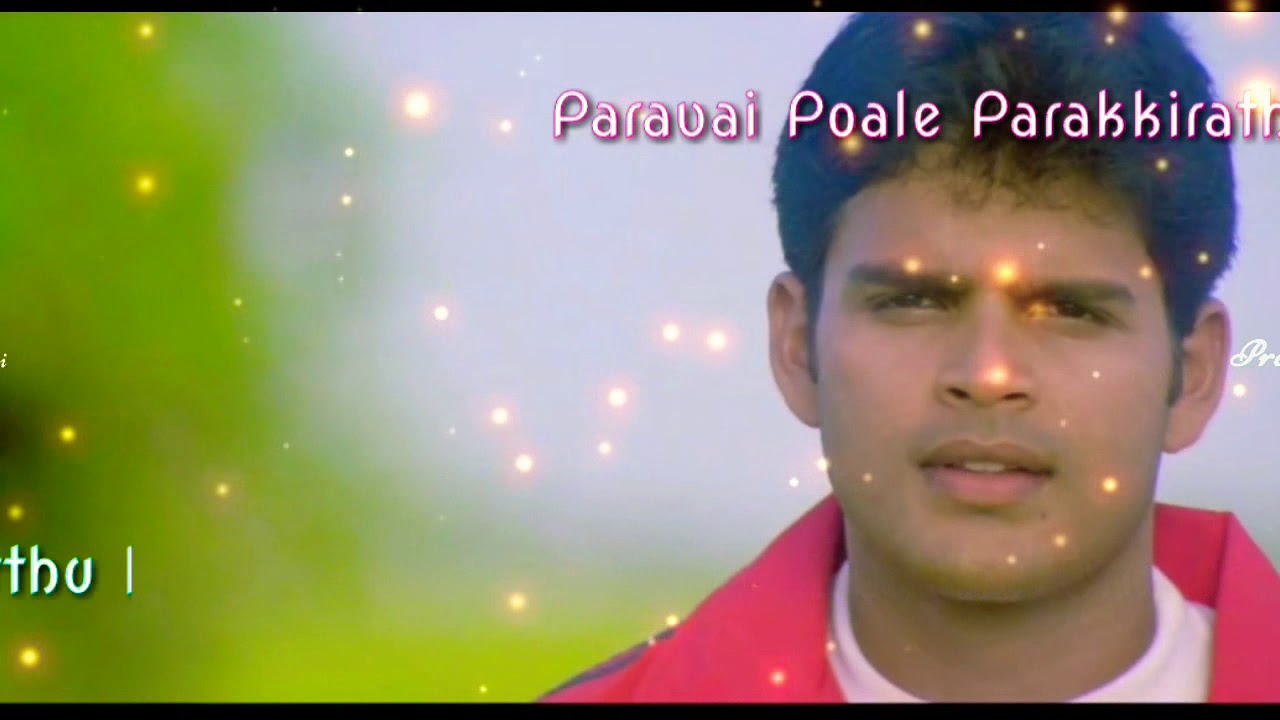 Anbe Anbe  Whatsapp Status  Anbe Anbe  Love Status Song