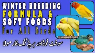 Breeding Formula and Soft Food For Birds in Winter. Video No. 421 screenshot 4