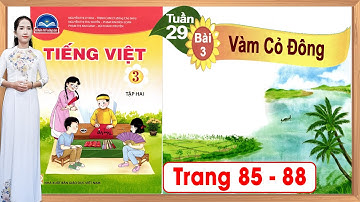 Tiếng việt lớp 3 chân trời sáng tạo bài 3 tuần 29| Vàm Cỏ Đông