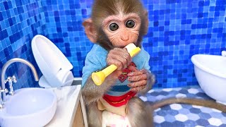Baby Monkey Bon Bon Brush Teeth Morning In The Toilet