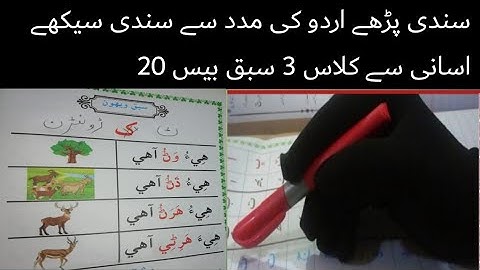 sindhi book class 3 chapter 20|basic sindhi language learning|asan sindhi |basic sindhi alphabet