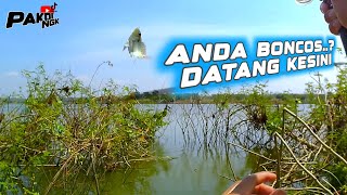 NEMU SARANG IKAN‼️LANGSUNG PANEN BANYAK || mancing ikan nila di waduk kalibening