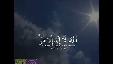 القارئ ياسر الدوسري /سورة التغابن/🌺