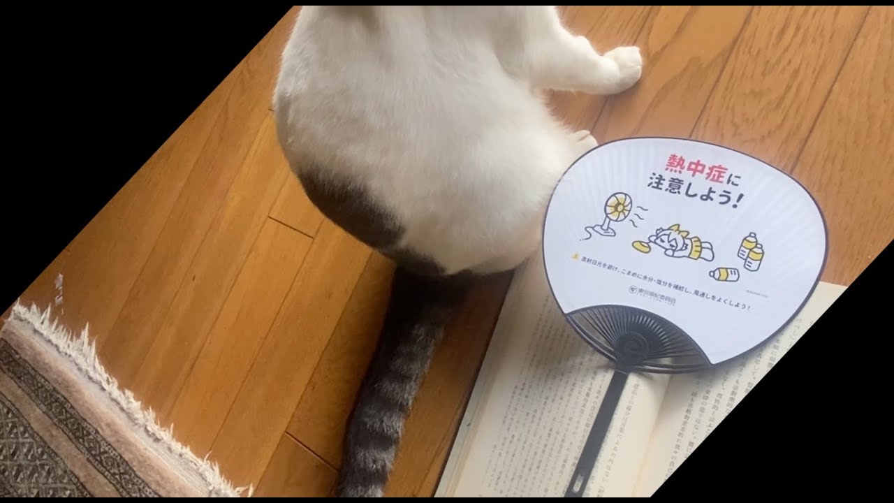 朗読 西田幾多郎「場所的論理と宗教的世界観」4