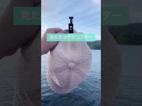 見た目タケコプターな釣り車中泊アイテム🎣