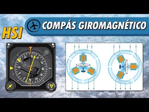 Video: ¿Por qué es importante la relación giromagnética?
