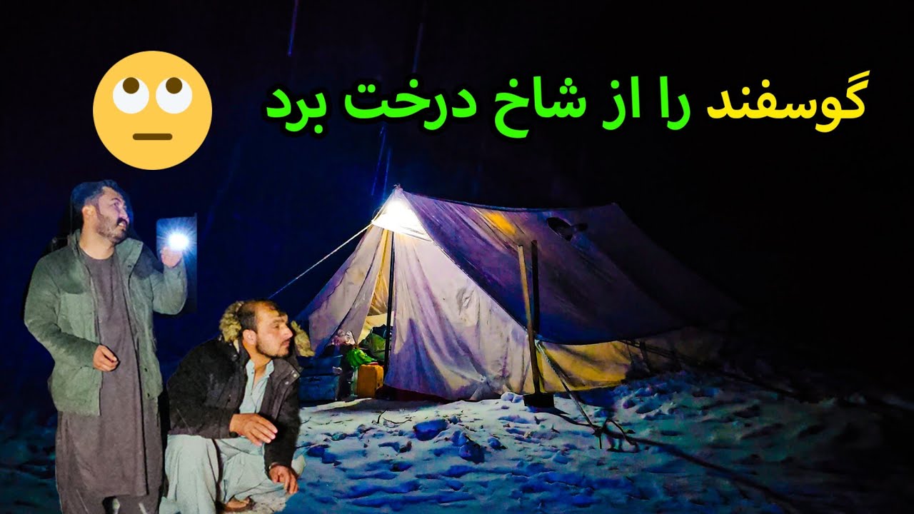 کمپ برفی ، گرگ حمله کرد گوسفند را با خود برد ، نبی و شهزاده قهر کردن 😢