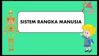 Sistem Rangka Manusia