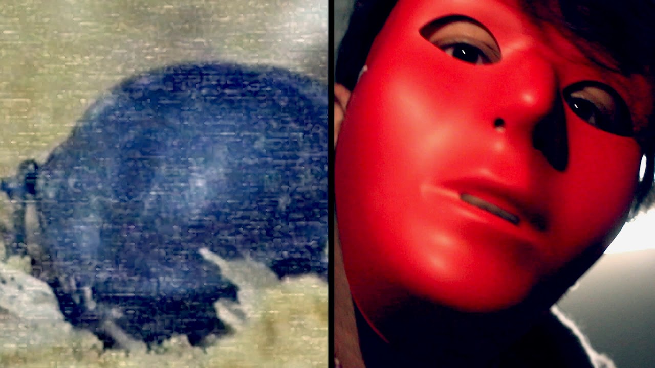 The Laytcomers - Pest Control (Official Video)