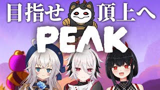 【PEAK】どでかい山、登るど【コラボ】
